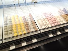 马卡龙-BLACKSWAN黑天鹅(环球店)