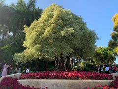 -深圳国际园林花卉博览园