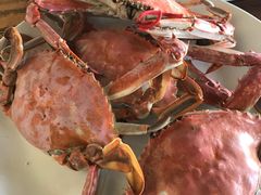 -张会海鲜饭店(东戴河店)