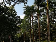 -东莞植物园