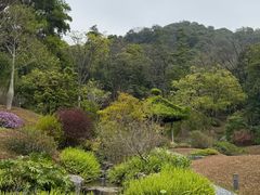 -云溪植物园