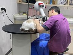 -宠颐生动物医院·小陆分院