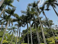 -中国科学院西双版纳热带植物园