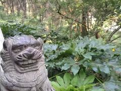 -云龙山