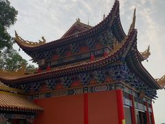 -东莞市大岭山森林公园