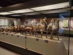 -西安大唐西市博物馆