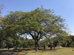 -中国科学院西双版纳热带植物园