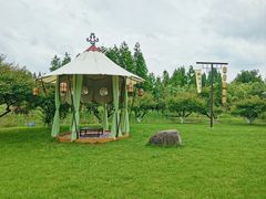 -长田漾湿地公园