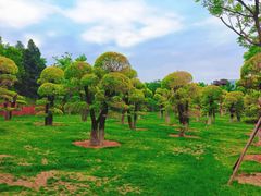 -西海子公园