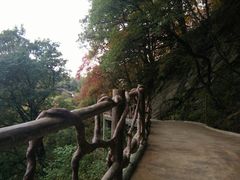 -少华山国家森林公园