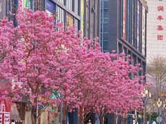 -1点点(清湖地铁店)