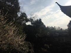 -杭州黄龙洞
