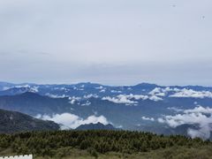 -白草畔自然风景区