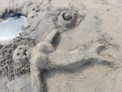 -碧海金沙