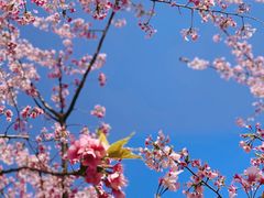 -静安雕塑公园