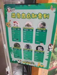 -七巧国萌宠乐园(龙湖天街店)