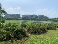 -华侨城湿地公园