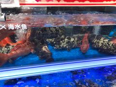 -盒马鲜生(观音桥店)