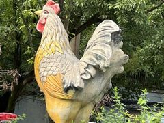 -先机泉水鸡汤(南山老君洞店)