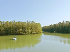 -上海海湾国家森林公园