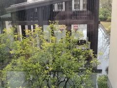 -上海崇明金茂凯悦酒店