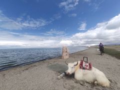 -青海湖国家重点风景名胜区