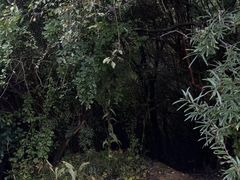 -云顶山风景区