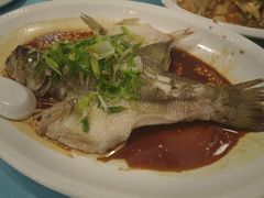 特色香葱淋鲈鱼-粤·向群饭店(泮塘路店)