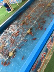 -萌宠亲子动物乐园(槐房万达店)