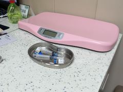 -半岛宠物医院24小时·内窥镜·牙科·碎石中心(府城大道店)