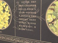 -银雀山汉墓竹简博物馆