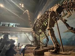 -自贡恐龙博物馆