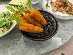 -丁老爷子苏香圆