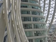 -凤凰中心
