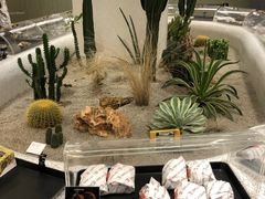 -OUR Bakery(SKP-S店)