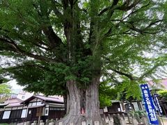 -医王山·飞騨国分寺