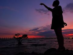 -宝安西湾红树林湿地公园