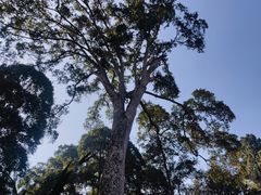 -都江堰普照寺