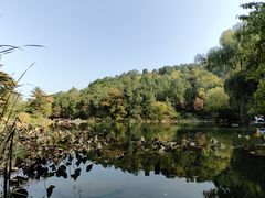-香山公园