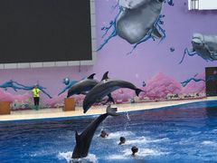 -北戴河圣蓝海洋公园