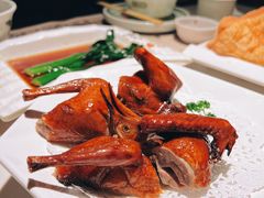 -悦满楼·西关名点·湛江名菜(航空综合大厦店)