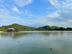 -顺峰山公园