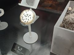 -河姆渡遗址博物馆