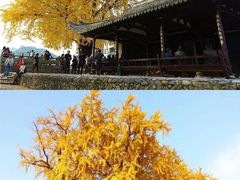 -楠溪江石桅岩