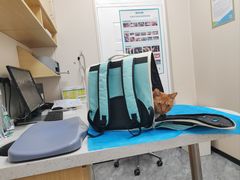 -芭比堂动物医院·CT·微创中心(新顺分院)