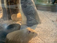 -昆明大悦城未来动物城(螺蛳湾中心店)