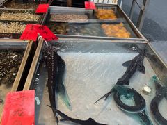 -湛江渔港·大排档(乐园路总店)
