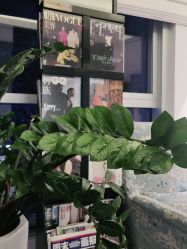 -医颜医疗美容门诊部