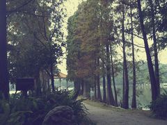 -西樵山风景名胜区-天湖公园