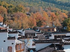 -塔川景区